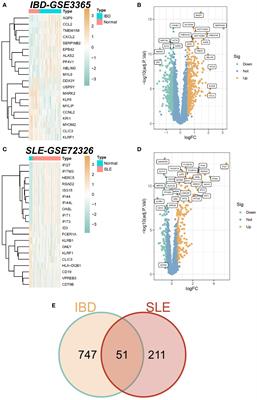 The shared circulating diagnostic biomarkers and molecular mechanisms of systemic lupus erythematosus and inflammatory bowel disease